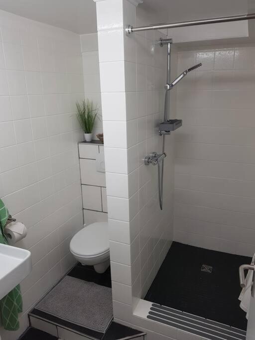 Ferienwohnung Bela, Naehe Nuerburgring Luxem Kültér fotó